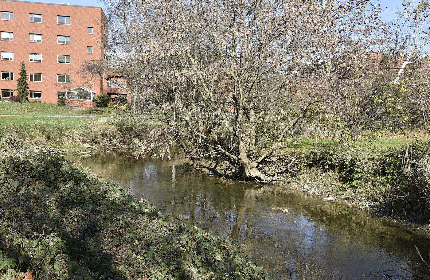 Little Conestoga Creek, PA
